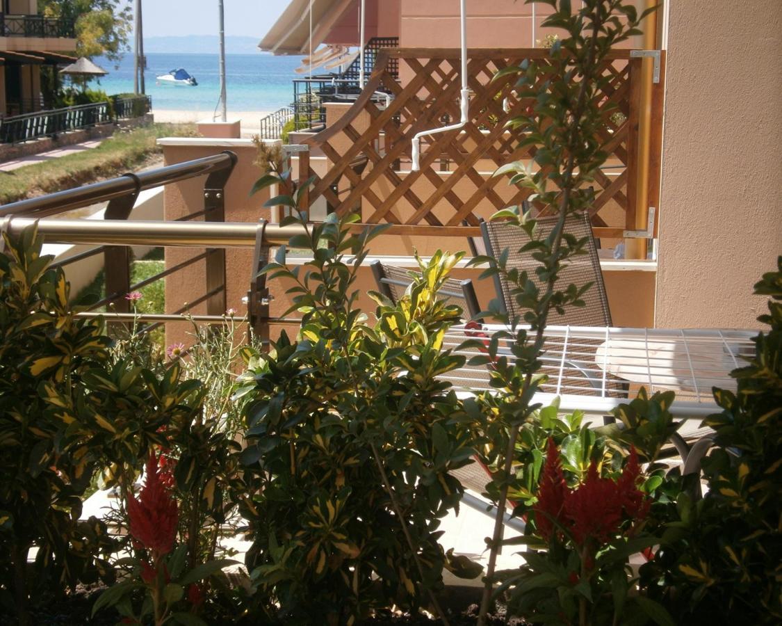 Dafni'S Seaside Luxury Studios 니키티 외부 사진