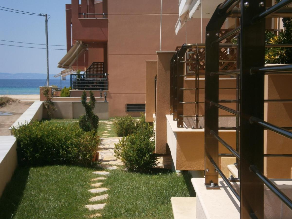 Dafni'S Seaside Luxury Studios 니키티 외부 사진